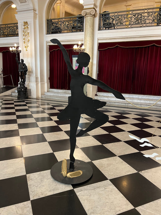 PROYECTO COMISIONADO BALLERINA