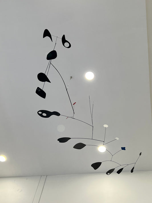 PROYECTO COMISIONADO ESTRATOCÚMULUS