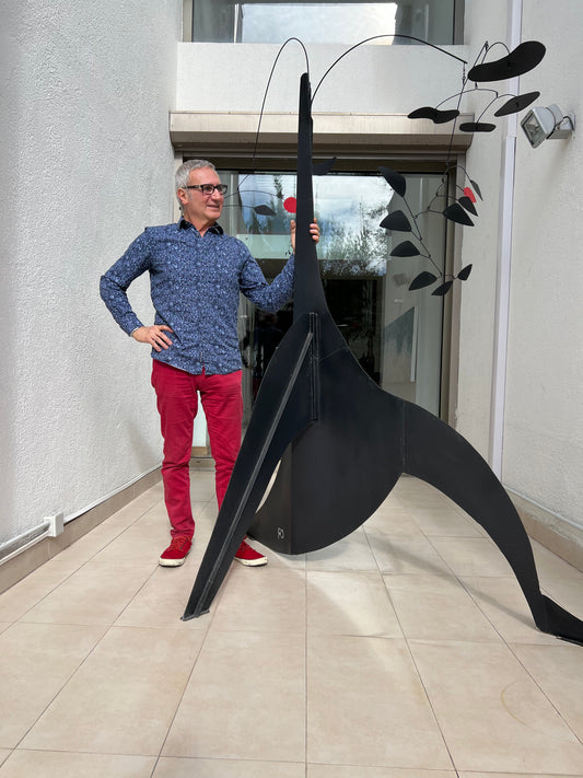 PROYECTO COMISIONADO FOKA