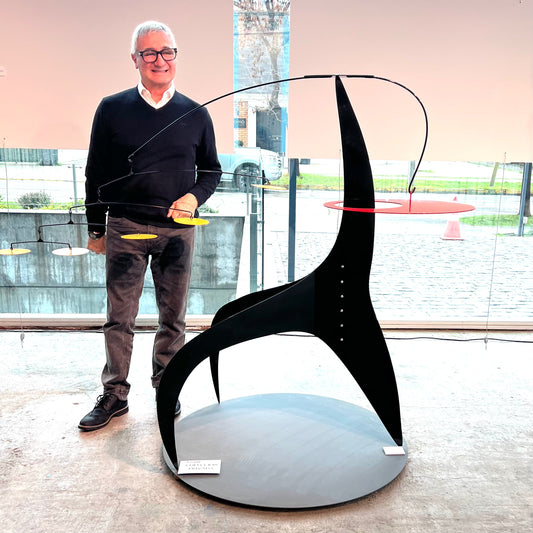 PROYECTO COMISIONADO TRAVESÍA